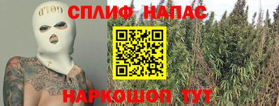 прущие грибы Будённовск
