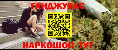 прущие грибы Будённовск