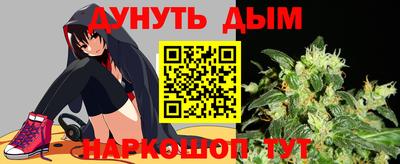 прущие грибы Будённовск