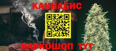 прущие грибы Будённовск